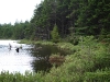 Summit Pond